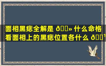 面相黑痣全解是 🌻 什么命格「看面相上的黑痣位置各什么 🌹 意思」
